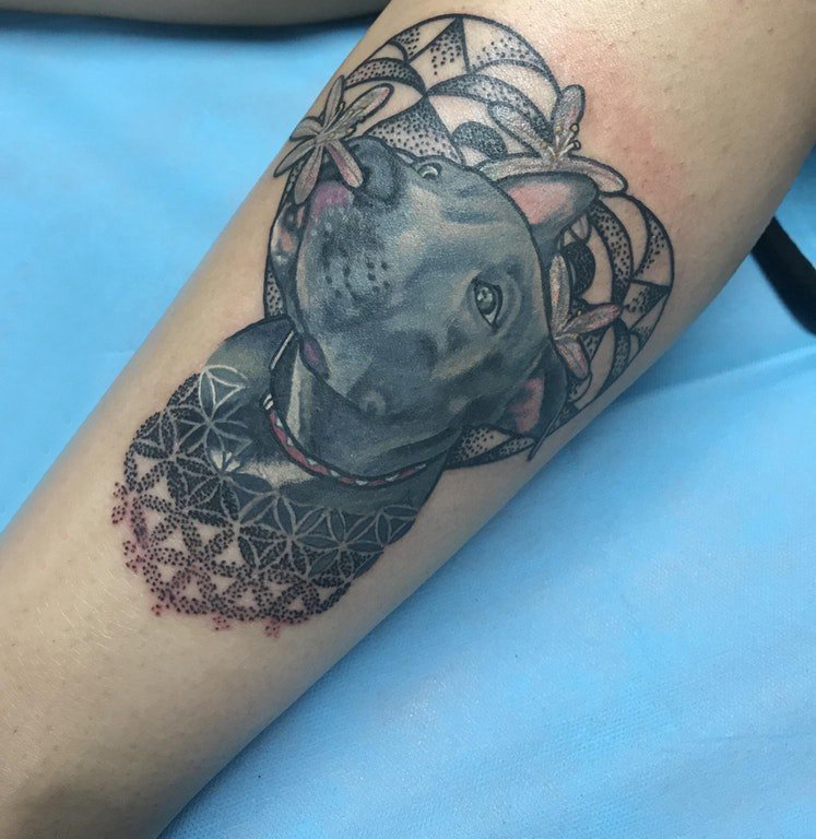 手臂纹身图片 男生手臂上植物和小狗纹身图片