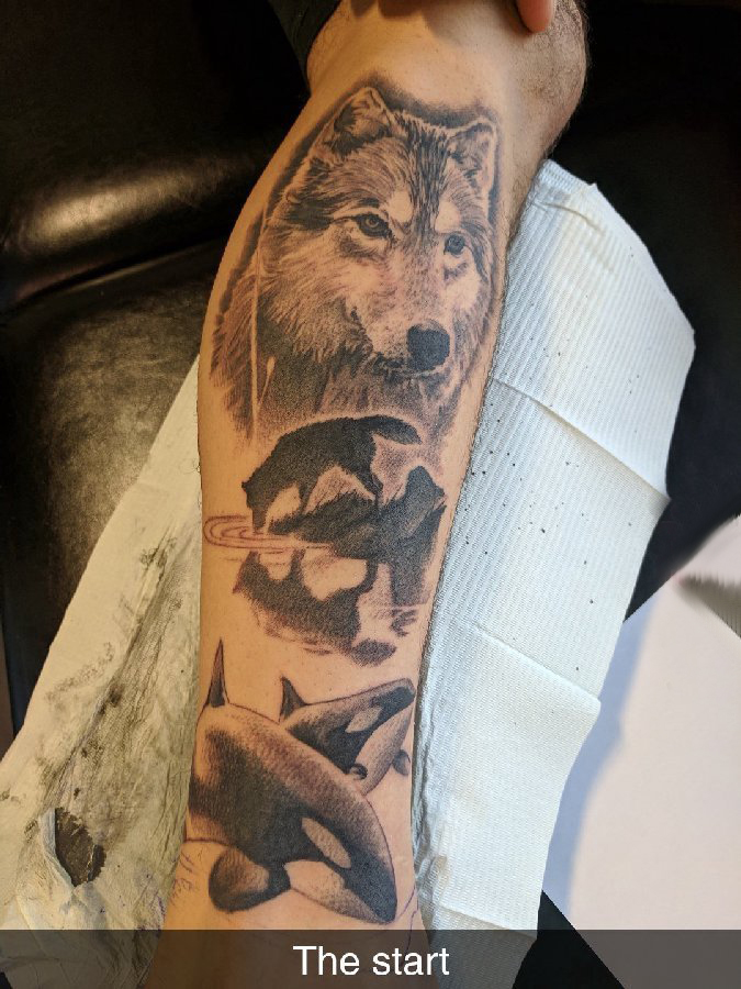 百乐动物纹身 男生手臂上狼头和鲸鱼纹身图片