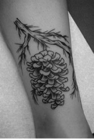 欧美小腿纹身 女生小腿上黑色的松果纹身图片