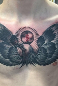 老鹰纹身图案 男生胸部老鹰纹身图案