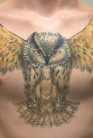 纹身胸部男 男生胸部彩绘的猫头鹰纹身图片