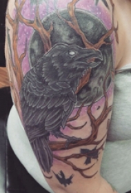 双大臂纹身 女生大臂上树枝和乌鸦纹身图片