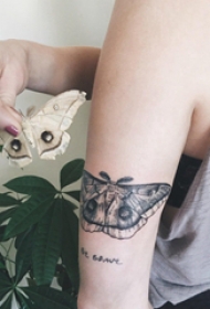 蝴蝶纹身图 女生手臂上蝴蝶纹身图片