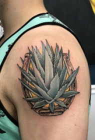 双大臂纹身 男生大臂上彩色的芦荟纹身图片