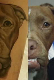 小狗纹身图案 男生小腿上黑色的小狗纹身图片