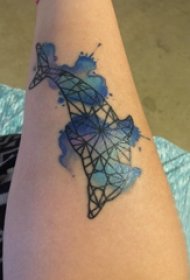 百乐动物纹身 男生手臂上彩色的几何海豚纹身图片