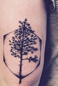 双大臂纹身 男生大臂上六边形和大树纹身图片