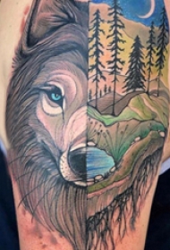 欧美拼接纹身 男生大臂上风景和狼头拼接纹身图片