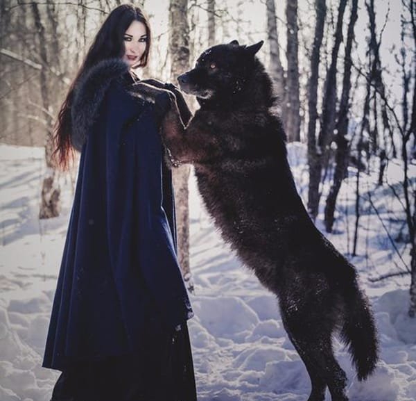 10款邪恶的黑狼纹身图案