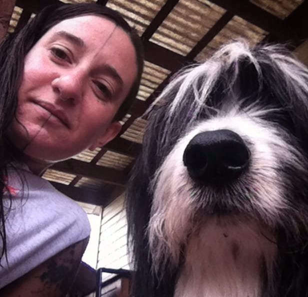 黑灰色动物图案纹身来自于纹身师西尔维