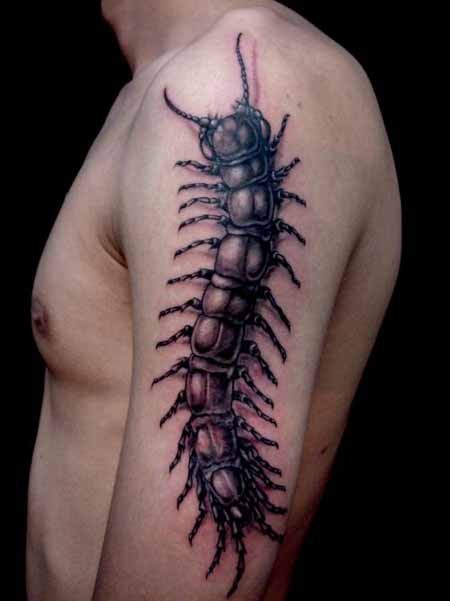 左手臂上黑色蜈蚣纹身图案