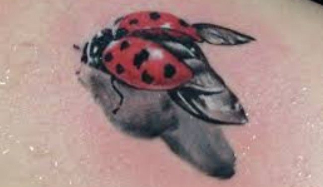 女孩喜欢的小清新3D瓢虫纹身图案