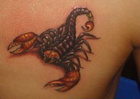 三张胸前彩色蝎子纹身图案作品