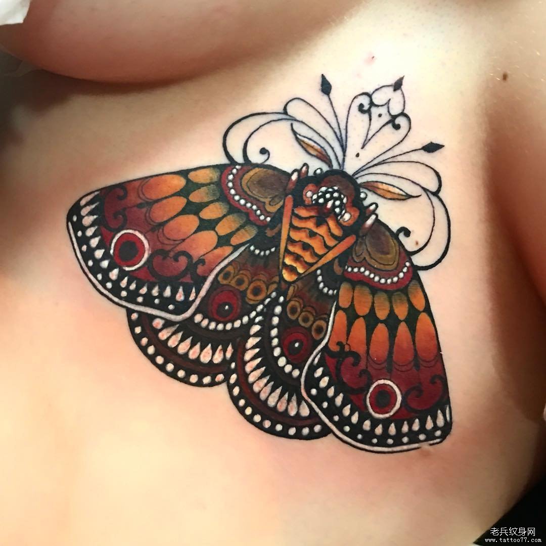 胸下school风格彩绘飞蛾纹身图案
