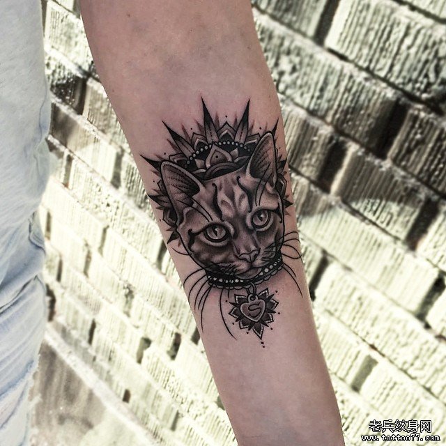 小臂school风格梵花猫纹身图案