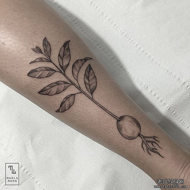 小腿生长的萝卜纹身tattoo图案