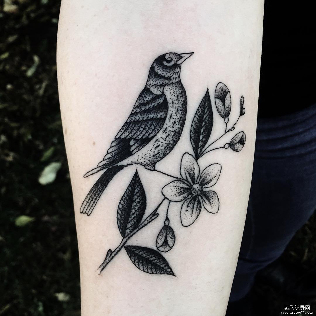 小臂小清新school鸟花蕊点刺纹身图案