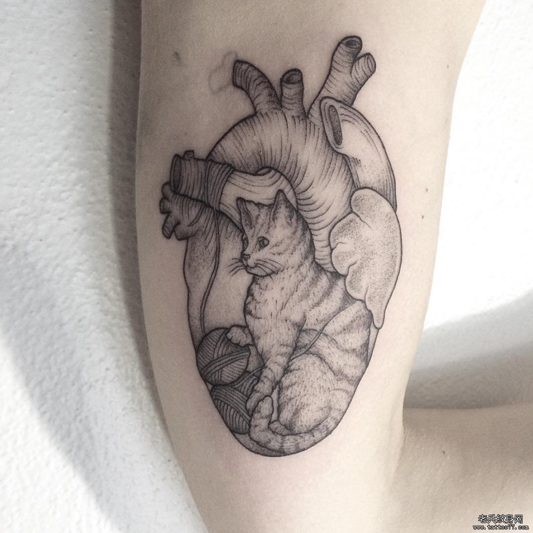 小臂心脏点刺猫纹身图案