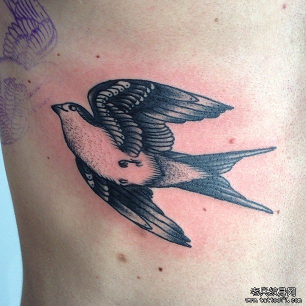 侧腰school燕子黑灰纹身图案
