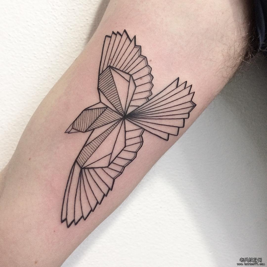 大臂几何线条组合鸽子纹身图案