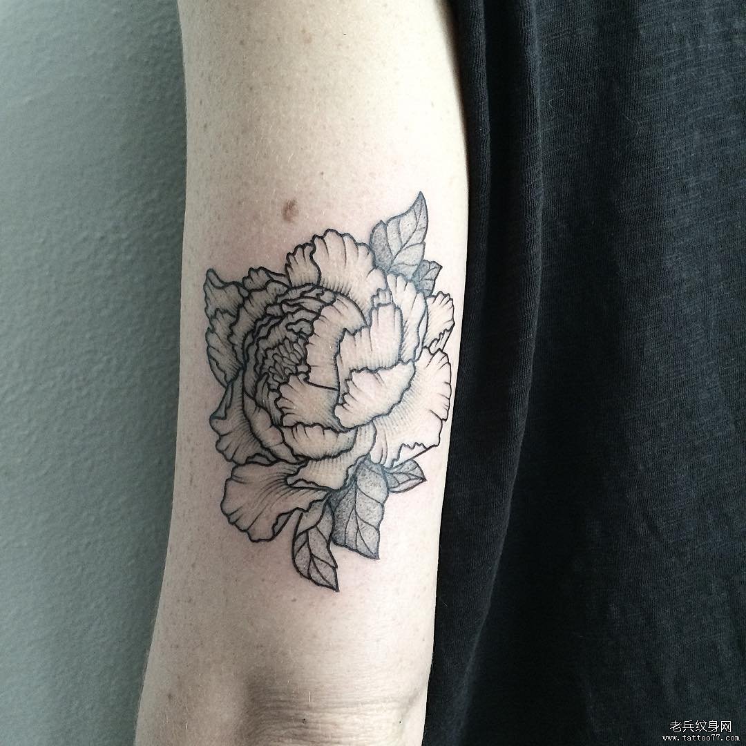 大臂黑灰牡丹线条小清新纹身图案