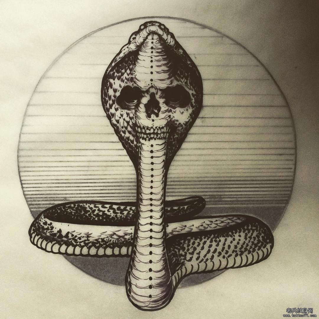 school暗黑蛇骷髅纹身图案手稿