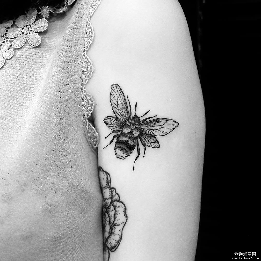 大臂点刺蜜蜂小清新纹身图案
