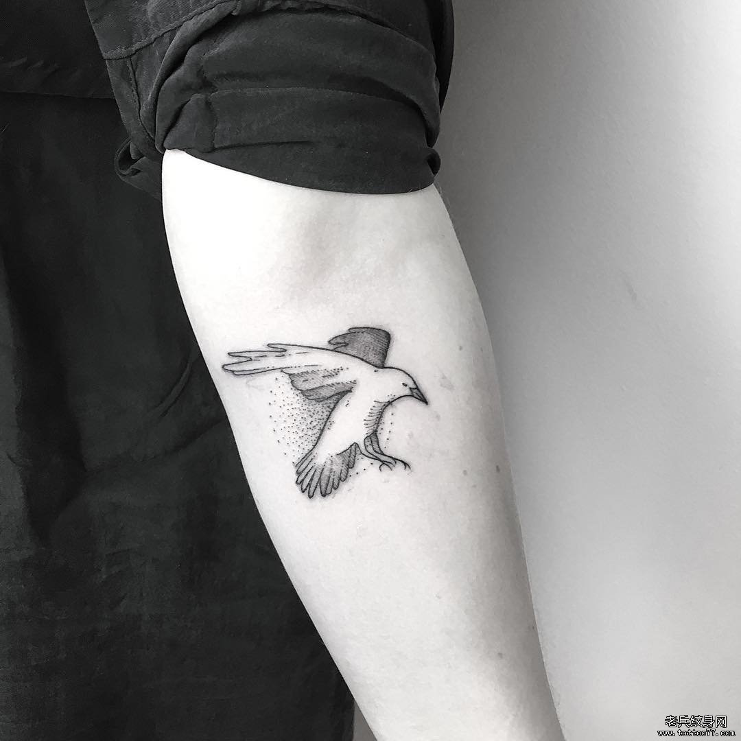 小臂点刺鸽子线条纹身图案