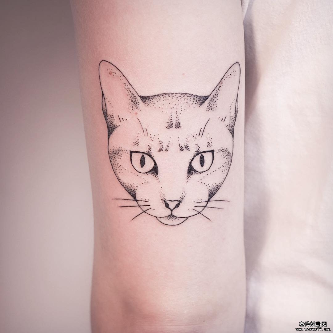 大臂点刺猫头像线条纹身图案
