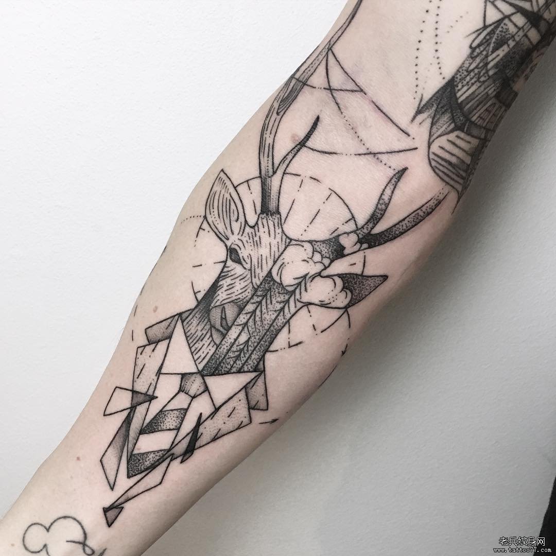 小臂几何麋鹿线条点刺纹身图案