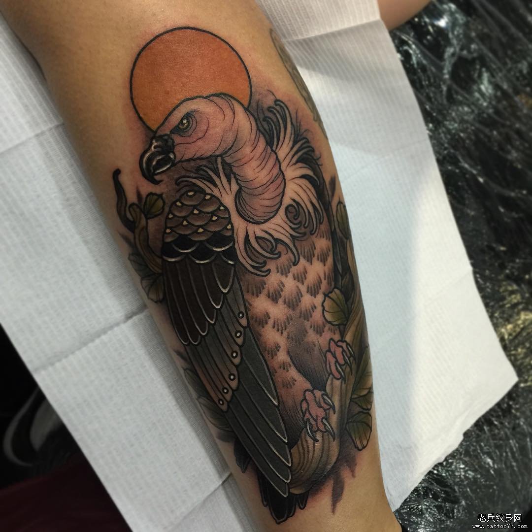 小腿school欧美彩绘秃鹫纹身图案