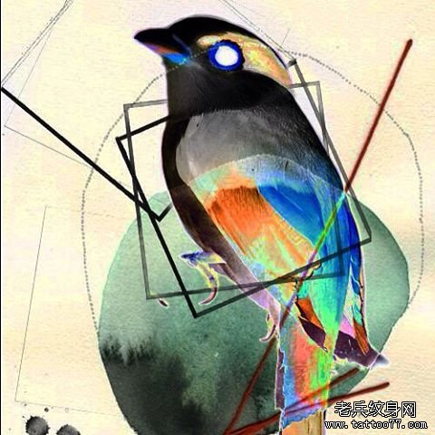 彩色几何鸟个性纹身图案手稿