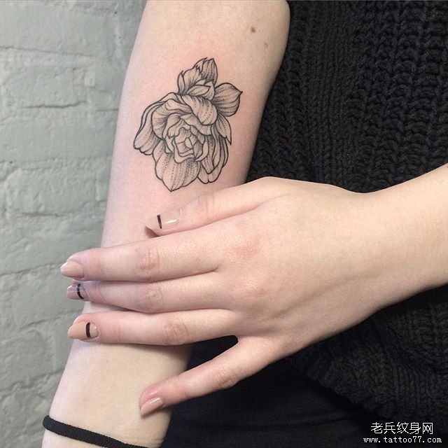 小臂点刺线条小清新花蕊纹身图案
