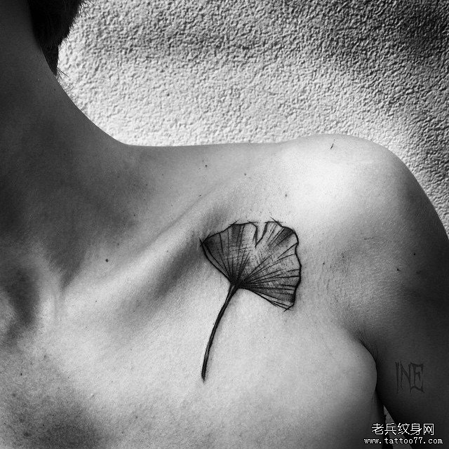 女性锁骨银杏叶钢笔画风格纹身图案缩略频道推荐图