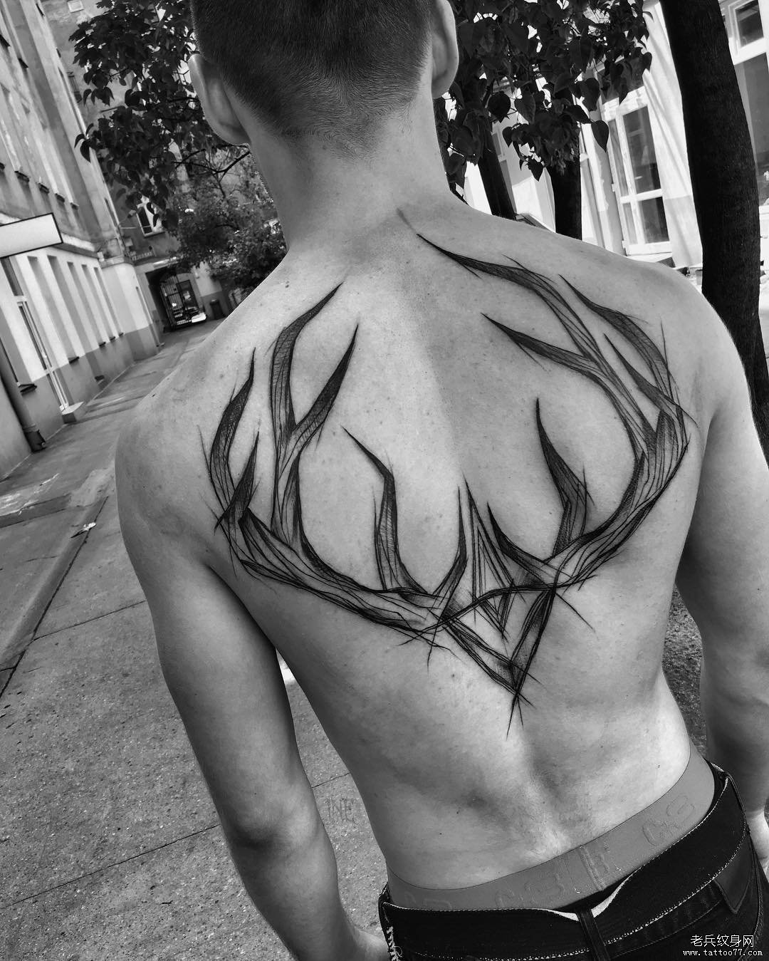 背部钢笔画风格鹿角纹身图案