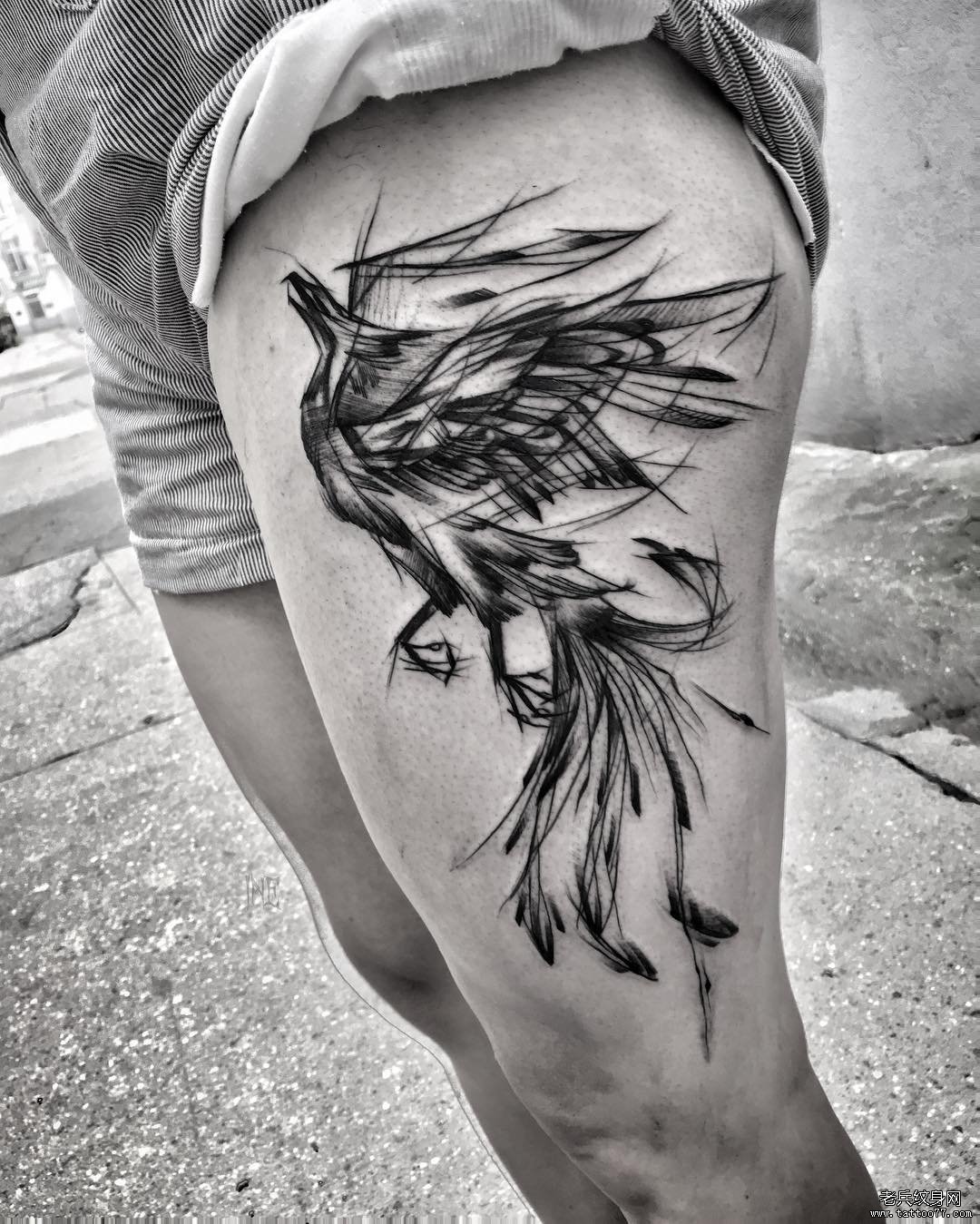 大腿凤凰钢笔画风格纹身图案