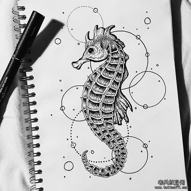 欧美精致的海马点刺线条纹身图案手稿