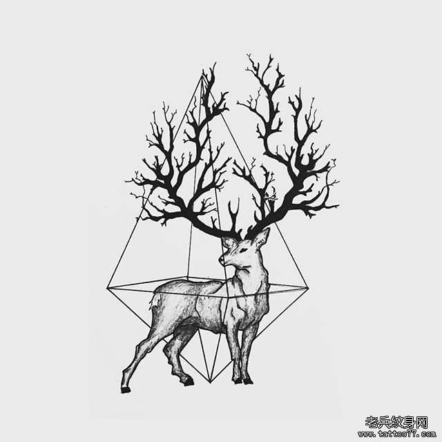 欧美好看的麋鹿几何纹身图案手稿