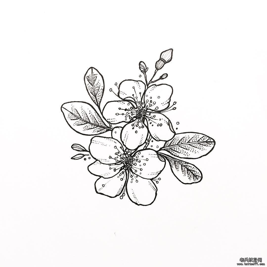 小清新樱花点刺纹身图案手稿