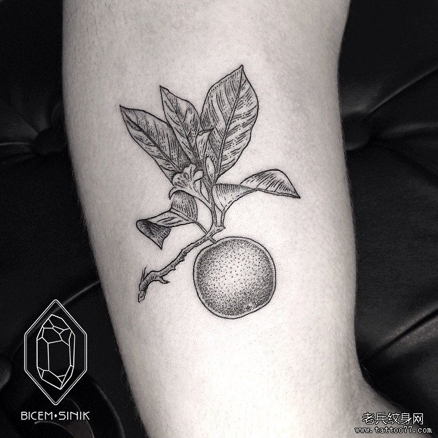 小臂点刺线条果实tattoo纹身图案
