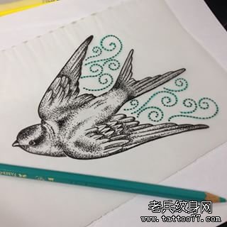 欧美school燕子点刺纹身图案手稿