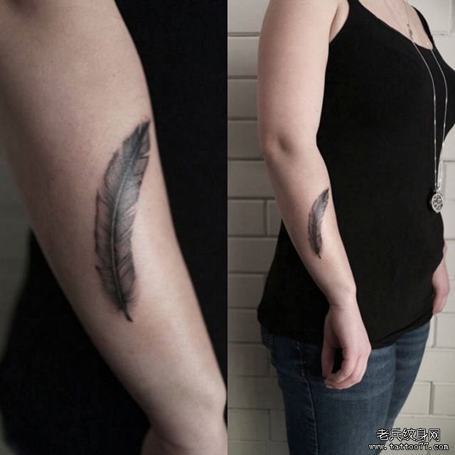 女性小臂羽毛纹身图案