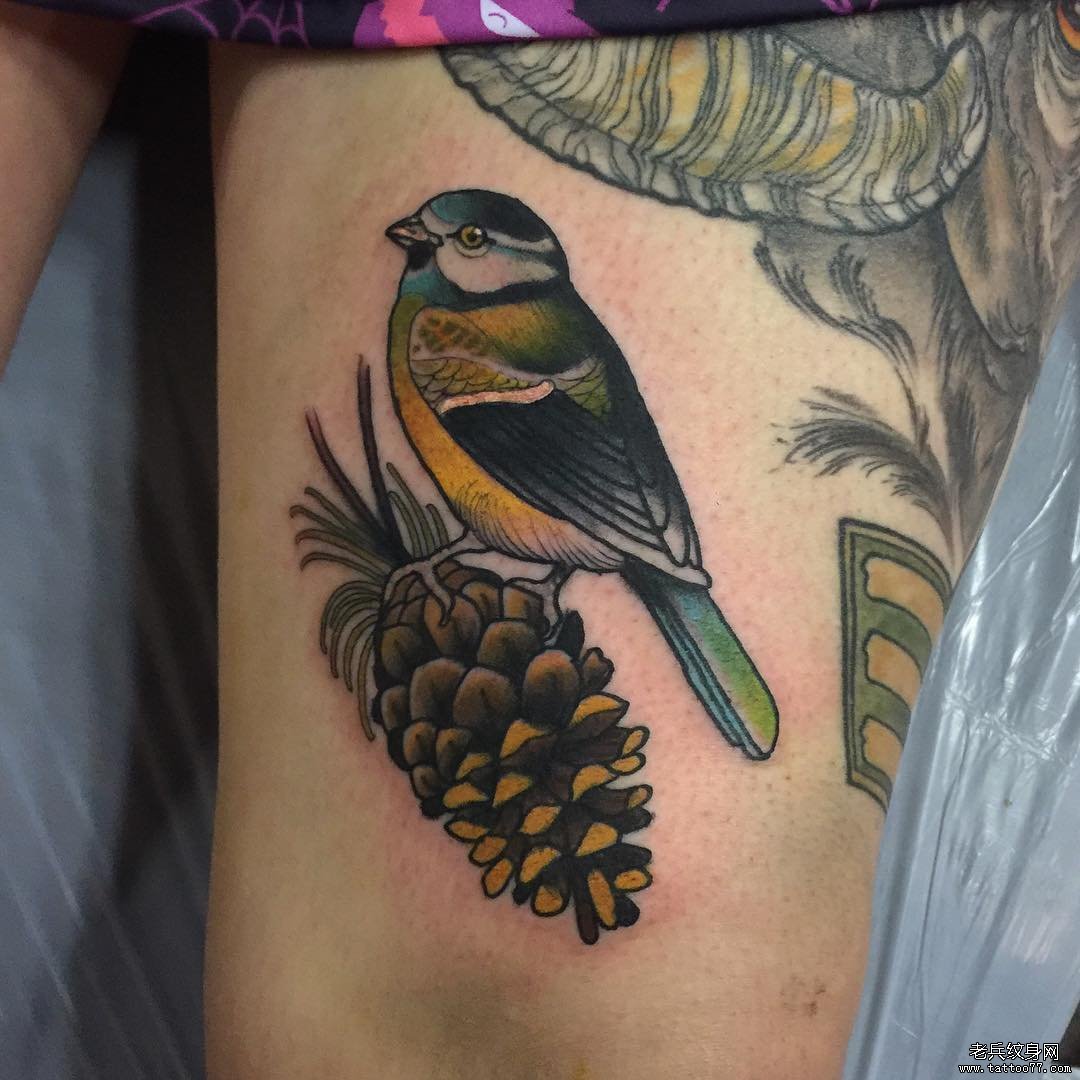 大腿school鸟松果彩绘纹身图案