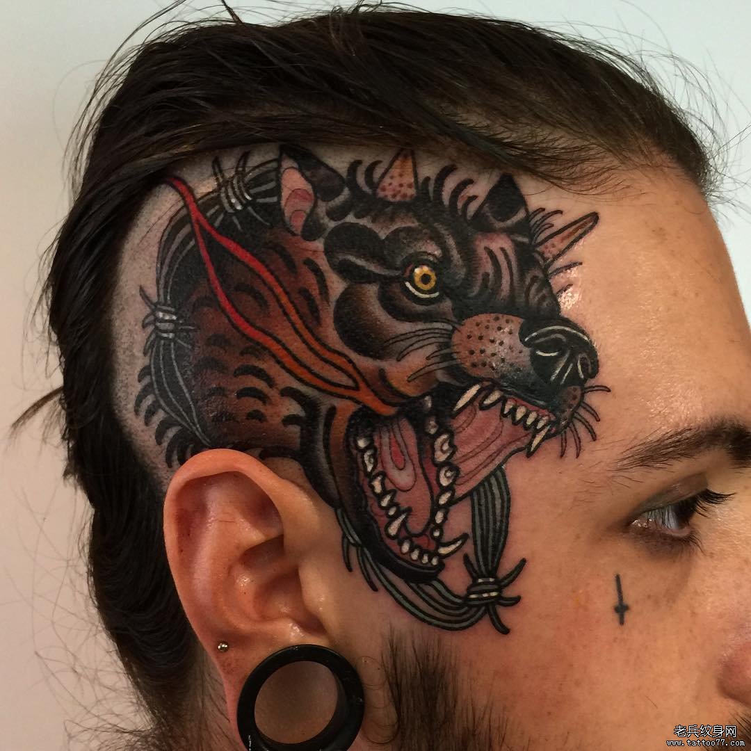 头部school狼头彩绘纹身图案