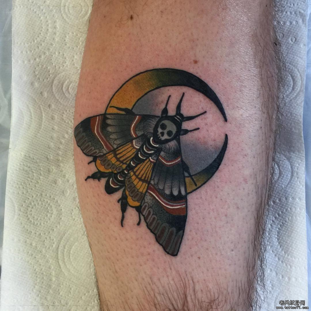 小腿school飞蛾月亮彩绘纹身图案