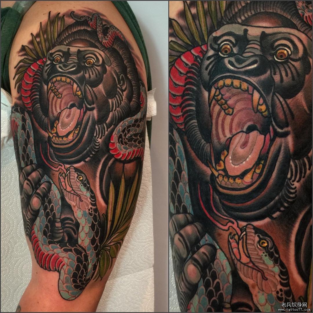 大臂school彩绘猩猩蛇纹身图案缩略频道推荐图