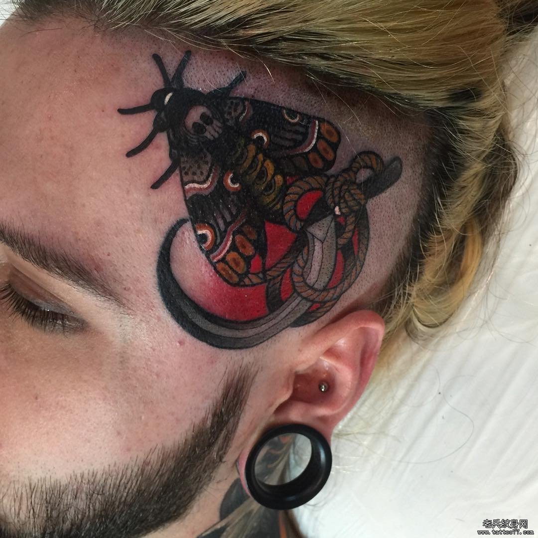 头部school飞蛾镰刀纹身图案