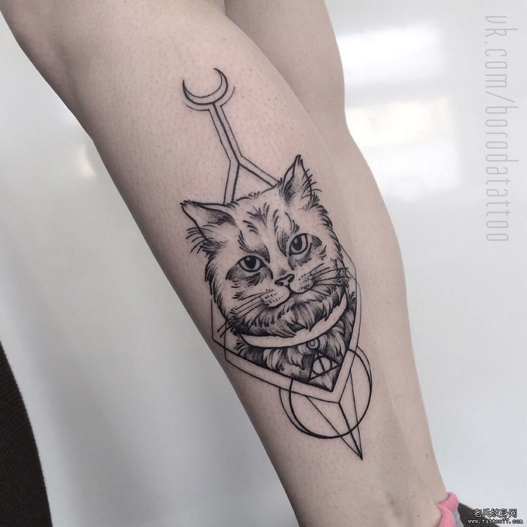 小腿猫咪几何小清新纹身图案