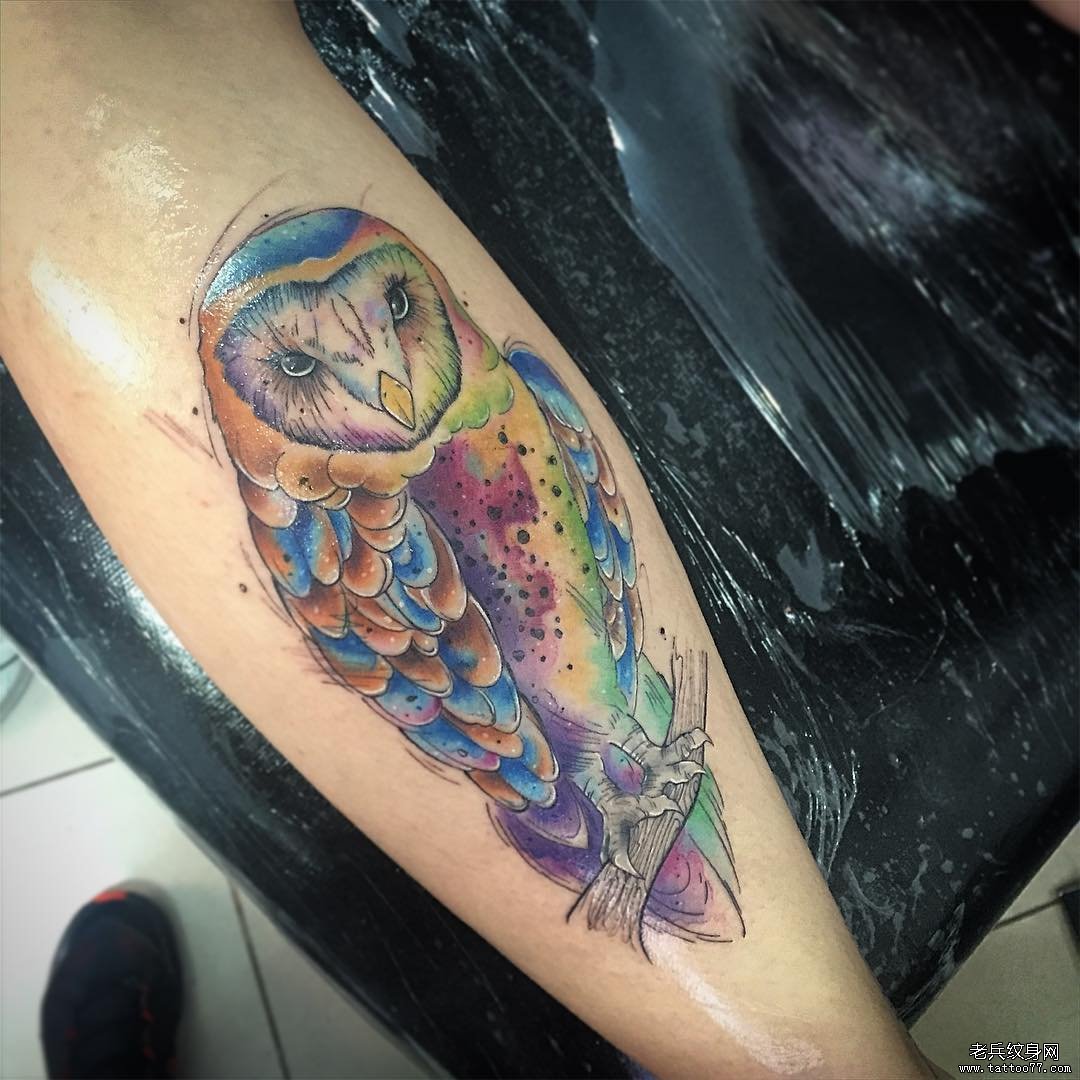 小腿泼墨猫头鹰彩色纹身图案