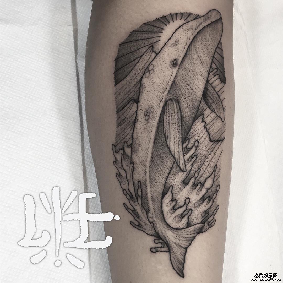 小腿欧美海豚风景点刺纹身图案